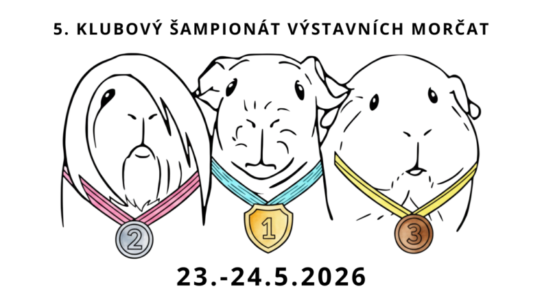 Výstava morčat Olomouc, 23.-24.5.2026