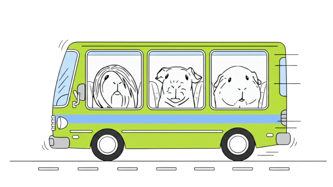 Pozvánka na výstavu, Polsko 2026