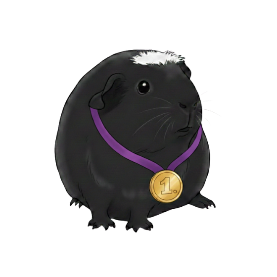 Soutěž “Morče šampion”