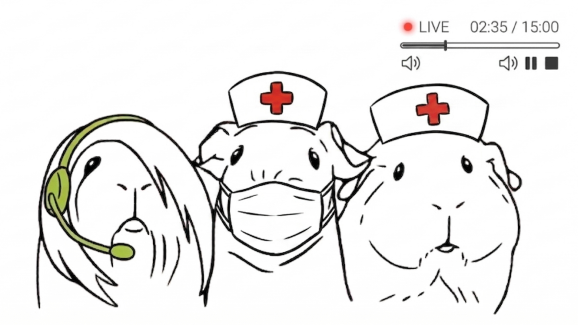 Webinář – První pomoc morčat 30.11.2025