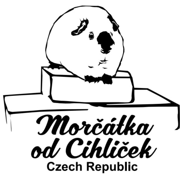 Andrea Cihlářová